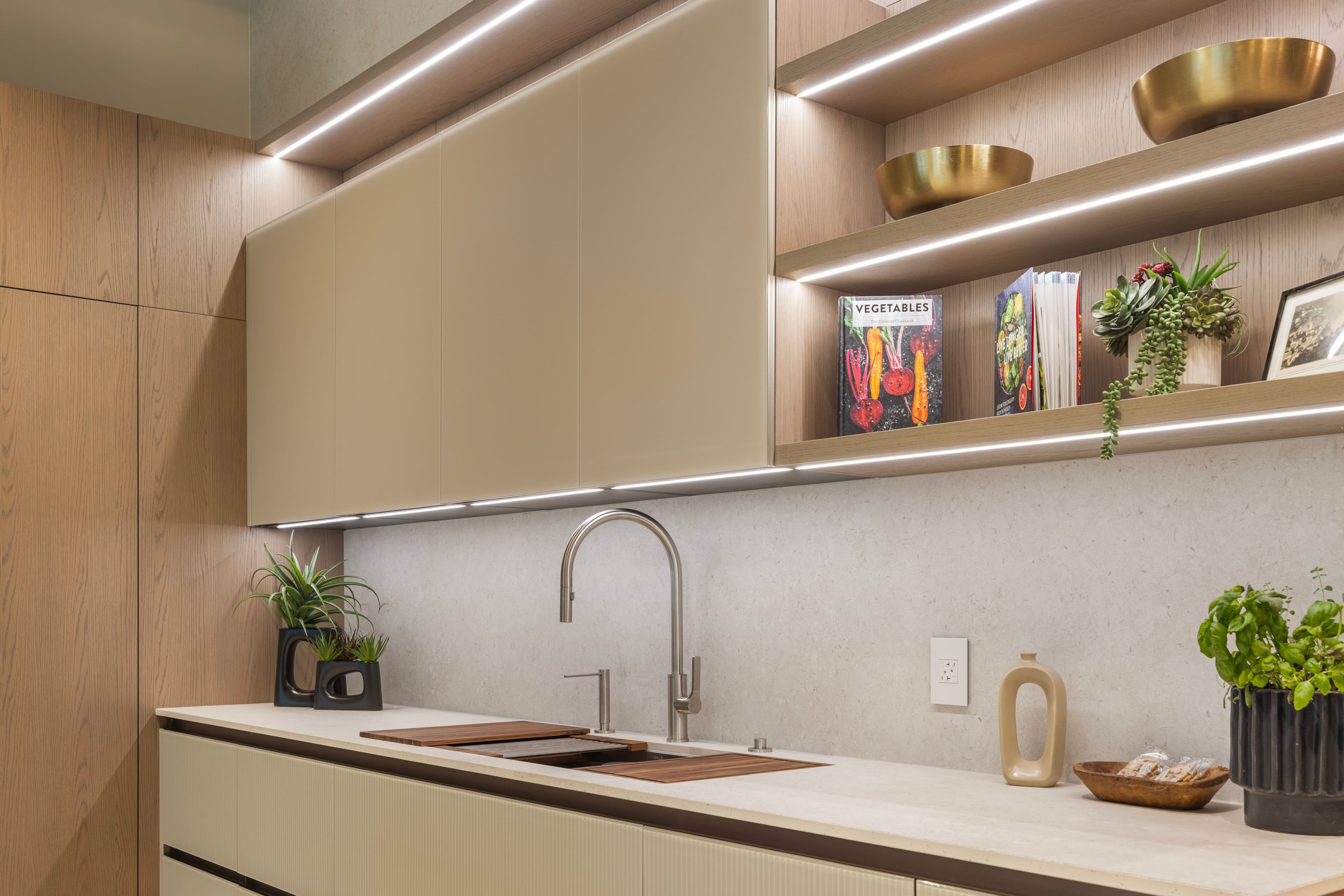 Modern kitchen with open shelving displaying decorative items and plants, featuring a sleek sink and countertop.